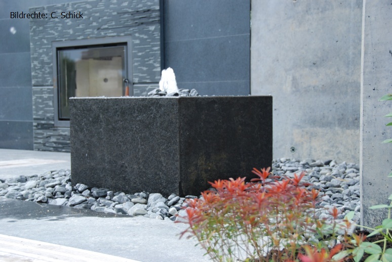 DSC_5496 - Kopie.JPG